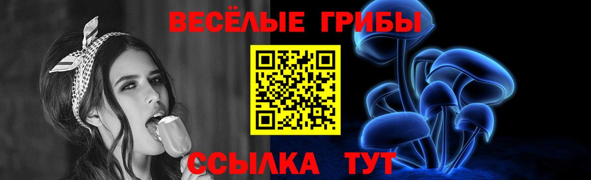 Псилоцибиновые грибы GOLDEN TEACHER  купить   Вязники  Вход с VPN  Галлюциногенные грибы GOLDEN TEACHER 